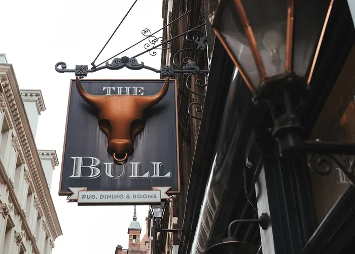The Bull And The Hide